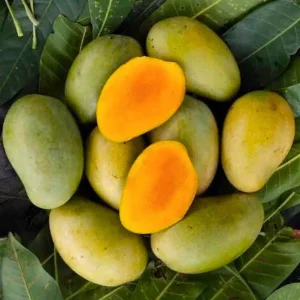 Amrapali Mango (11 Kg)